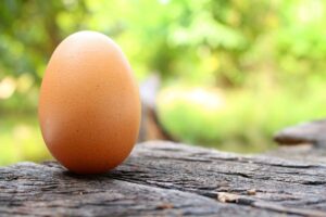 A hen's egg on a wooden table outdoors in nature